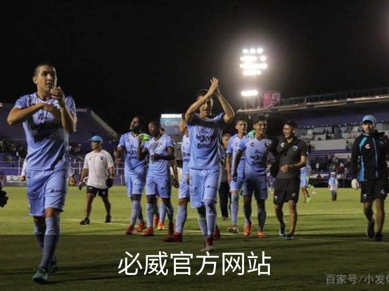 必威官方网站概况